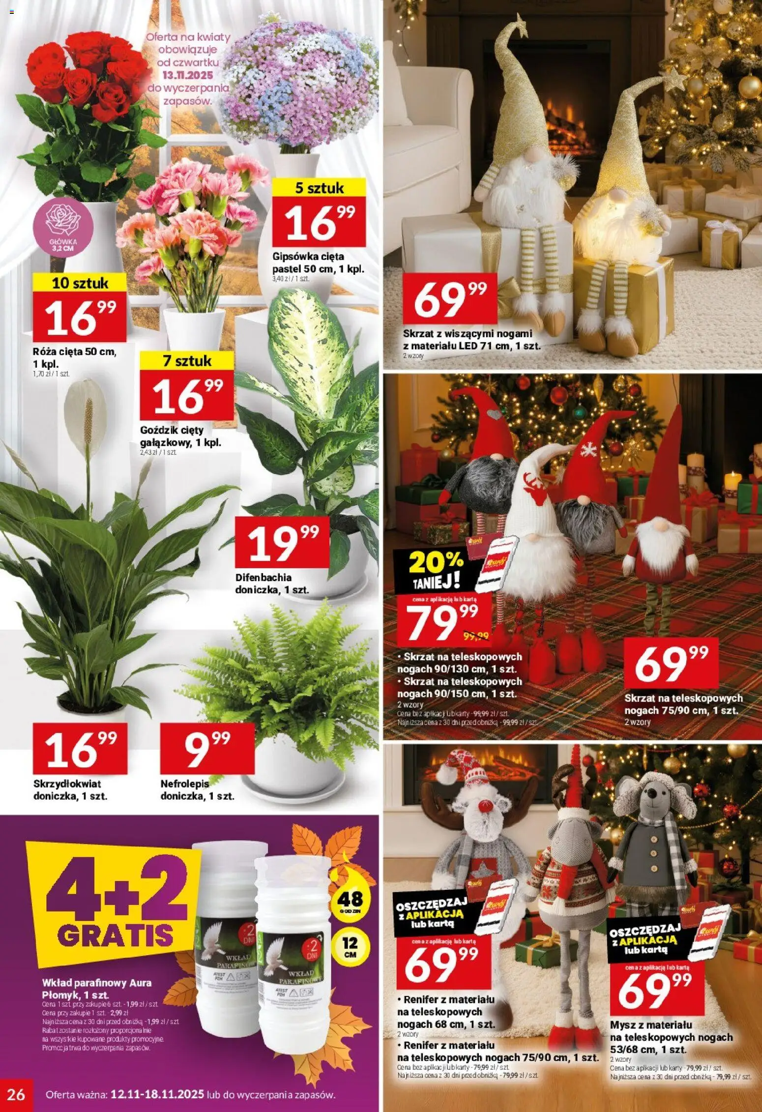 Twój Market Gazetka od 12.11.2025 | Strona: 26 | Produkty: Karta, Mysz, Goździk, Kwiaty