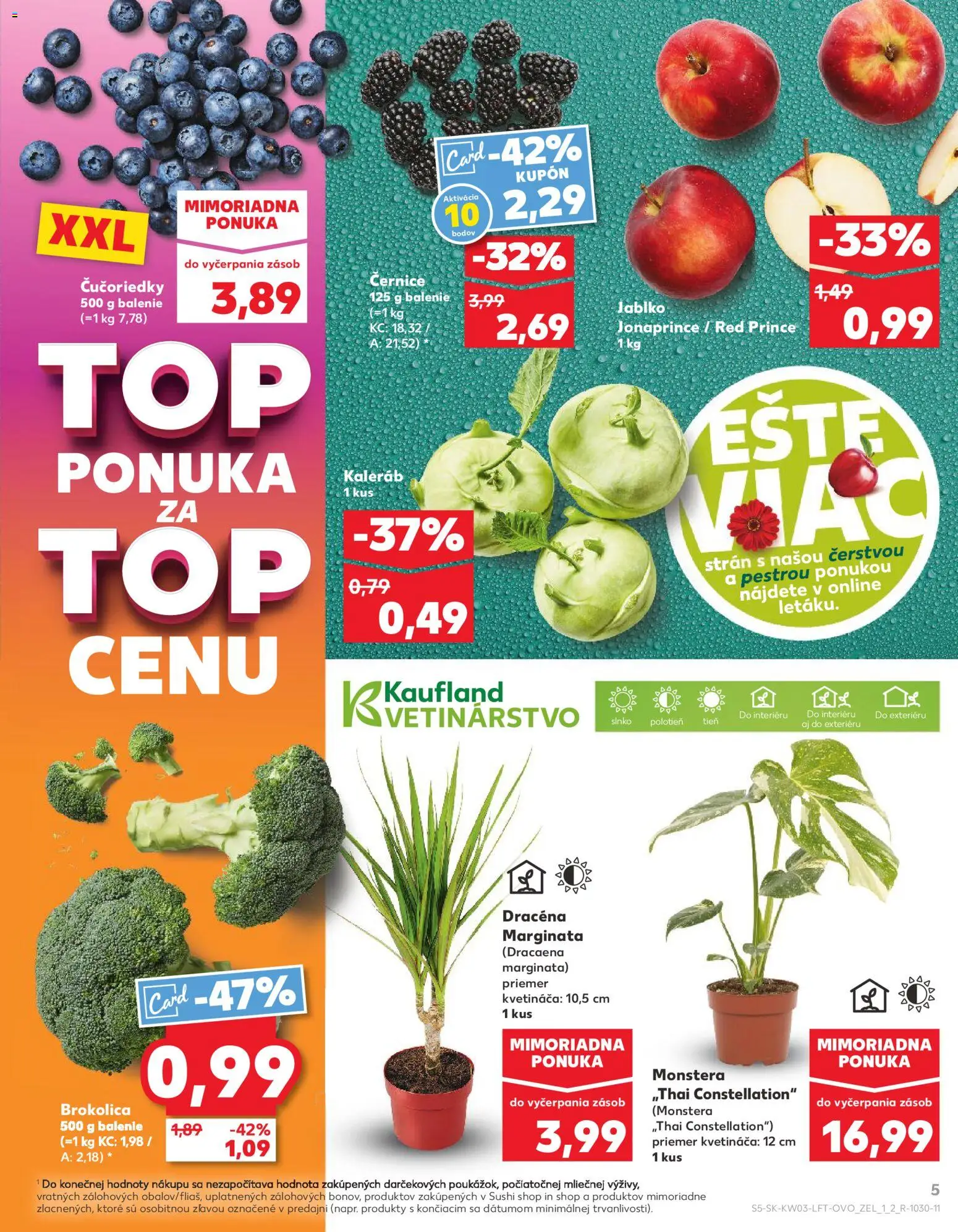 Kaufland SK akciós ujság - amely érvényes a következő dátumtól: 15.01.2026 | Oldal: 5 | Termékek: Sushi, Dracéna, Monstera