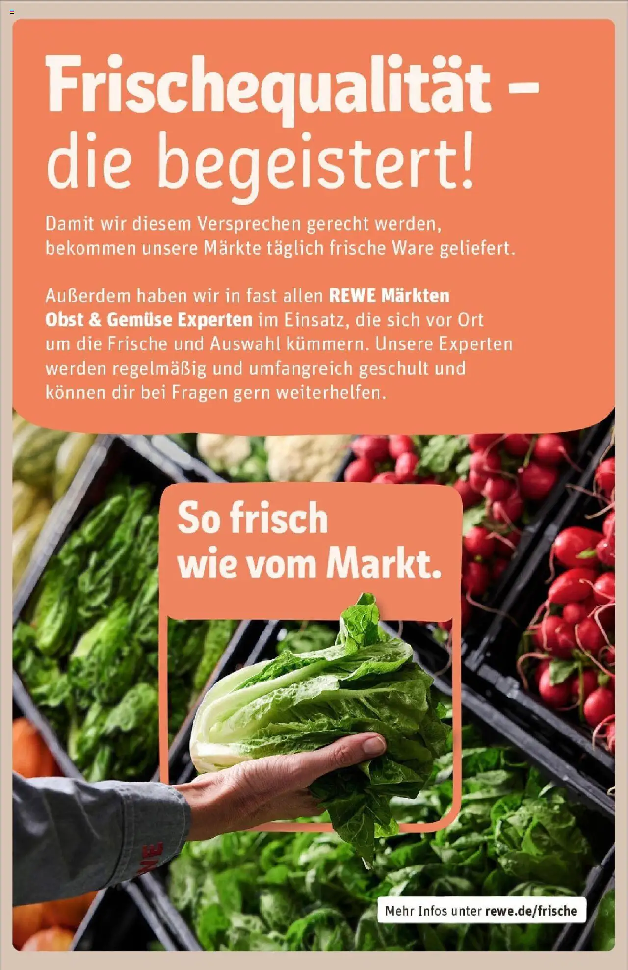Rewe prospekt Oberwesel	 - gültig ab dem 01.06.2025 | Seite: 30 | Produkte: Gemüse, Obst