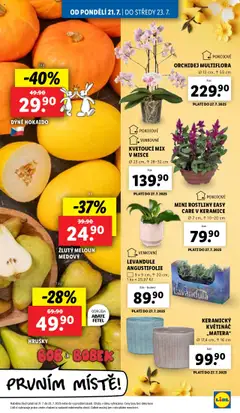 Lidl leták od 21.07.2025 | Strana: 9 | Produkty: Meloun, Orchidej, Hrušky, Květináč