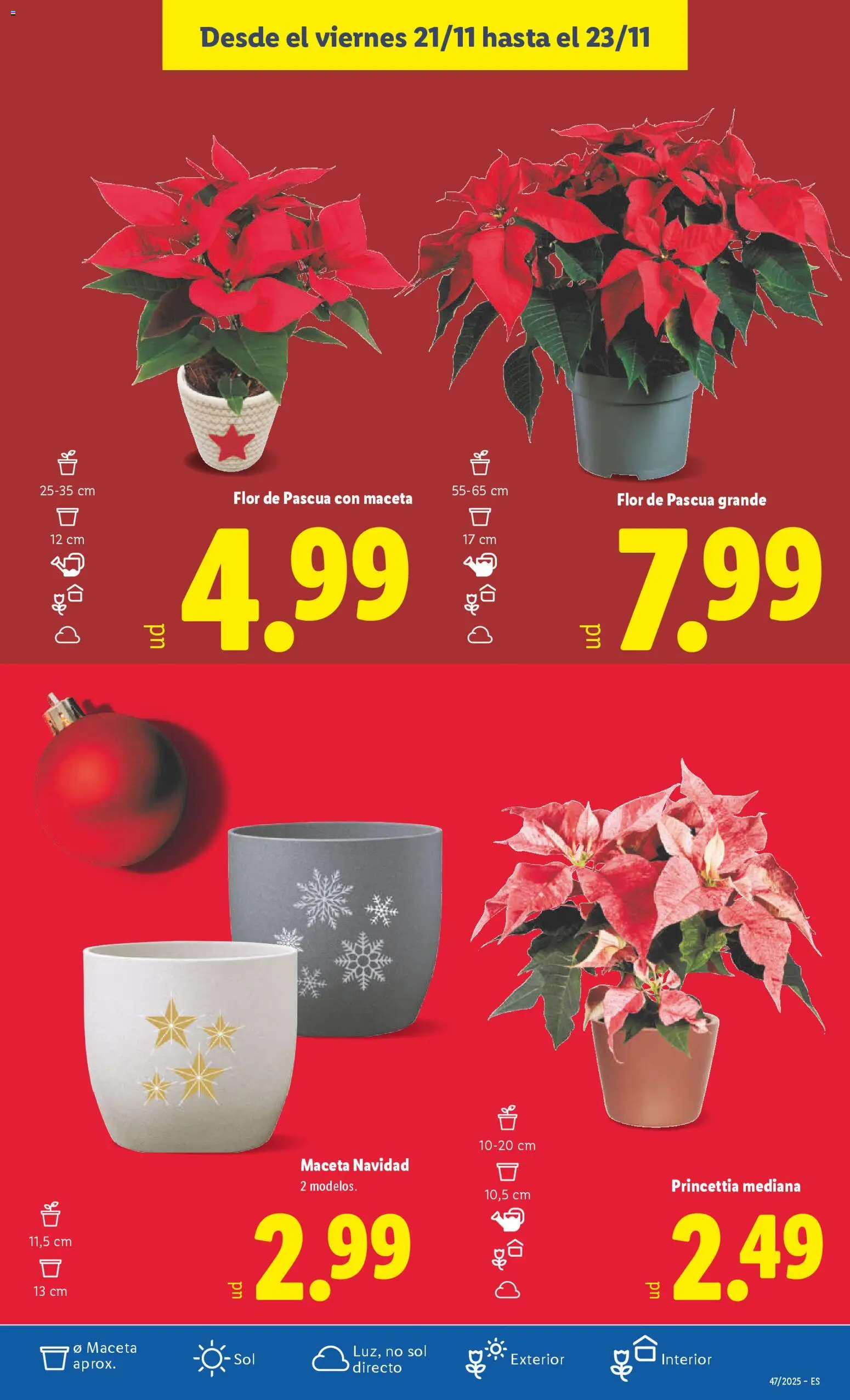 Lidl folleto │ válido desde el 17.11.2025 | Página: 51 | Productos: Maceta