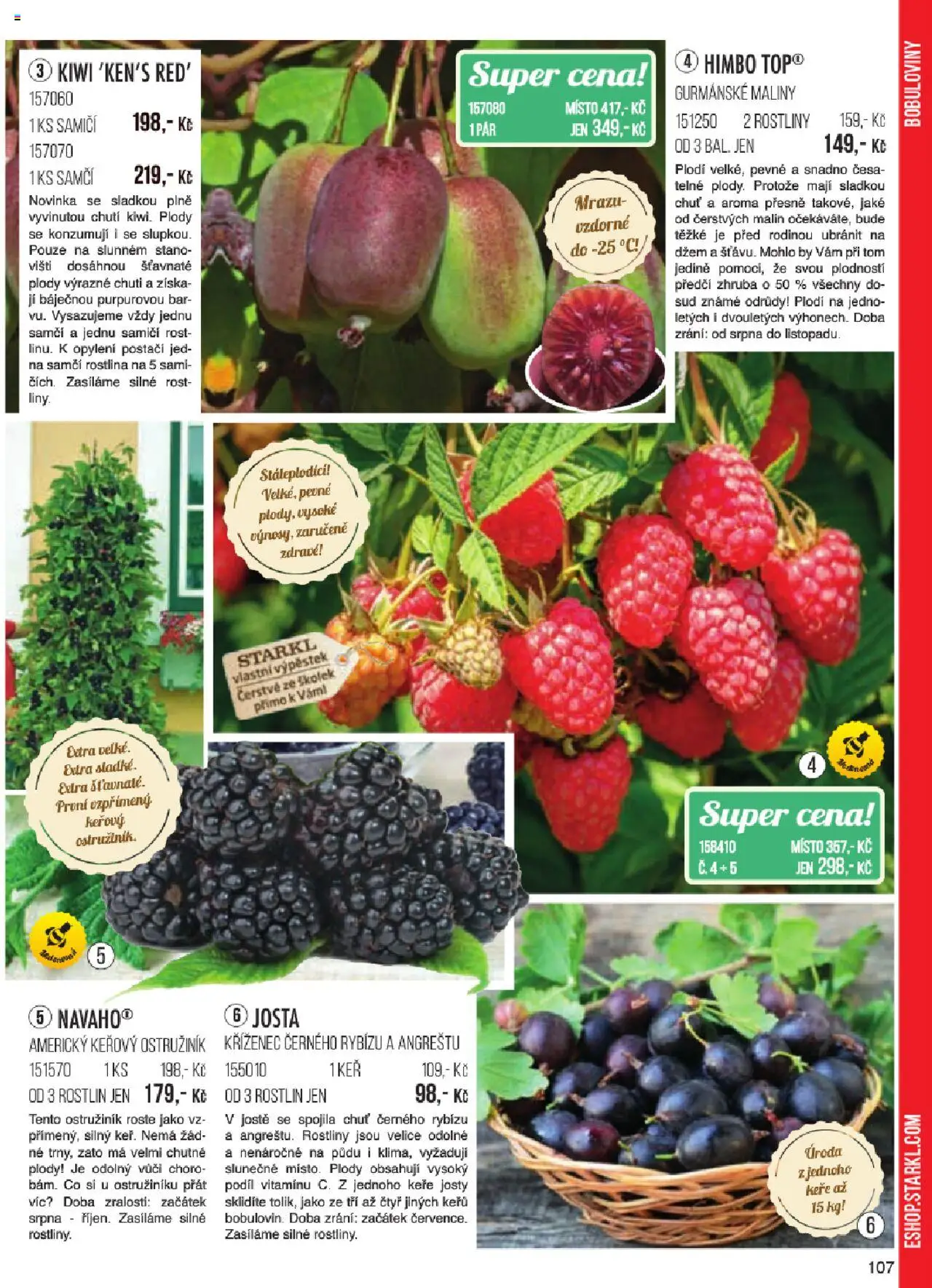 Starkl katalog jaro 2024 od 06.01.2025 | Strana: 107 | Produkty: Kiwi, Maliny, Rostliny, Rošt