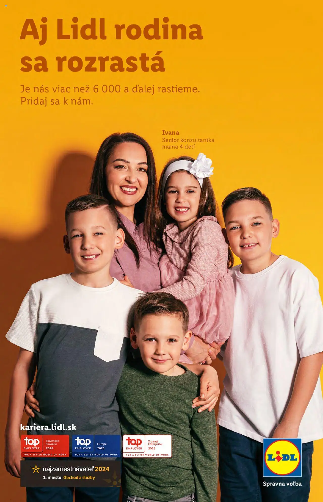 Lidl leták │ platný od 09.06.2025 | Strana: 87
