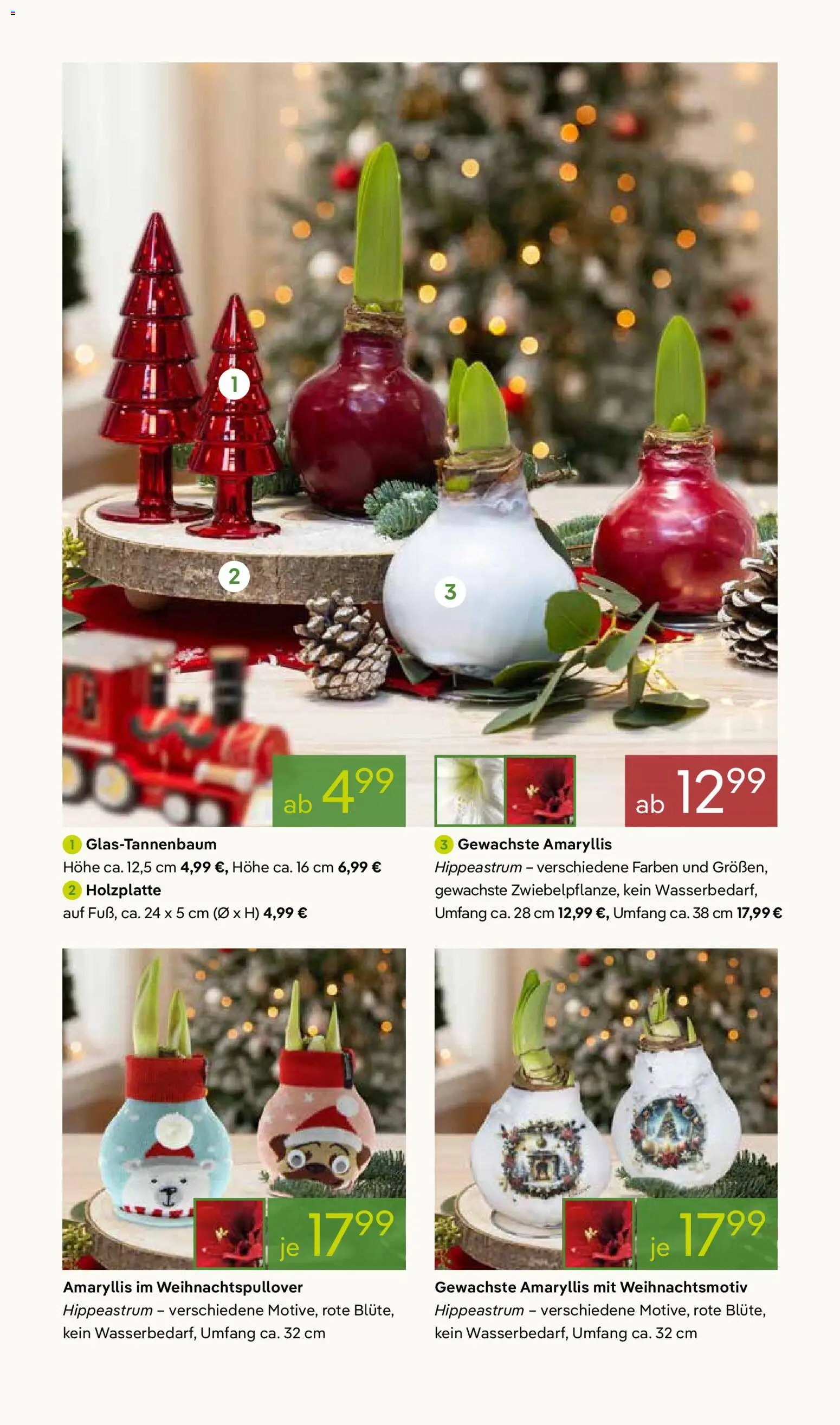 Pflanzen-Kölle Prospekt 	 – gültig ab 17.11.2025 | Seite: 3