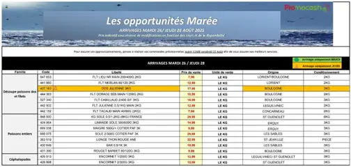Promocash - Prévisualisation de Promocash - MERCURIALE OPPORTUNITÉS S35 valide à partir de 26.08.2025