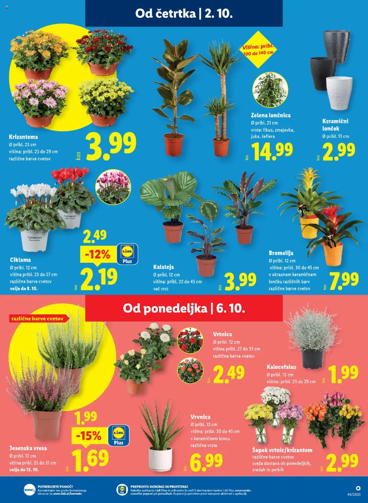 Novi Lidl katalog ponudbe – veljaven od 02.10.2025 | Stran: 23 | Izdelki: Šopek, Zelena