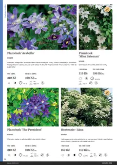 Náhled letáku Starkl katalog od 25.02.2026 | Strana: 26 | Produkty: Květináče, Rostliny