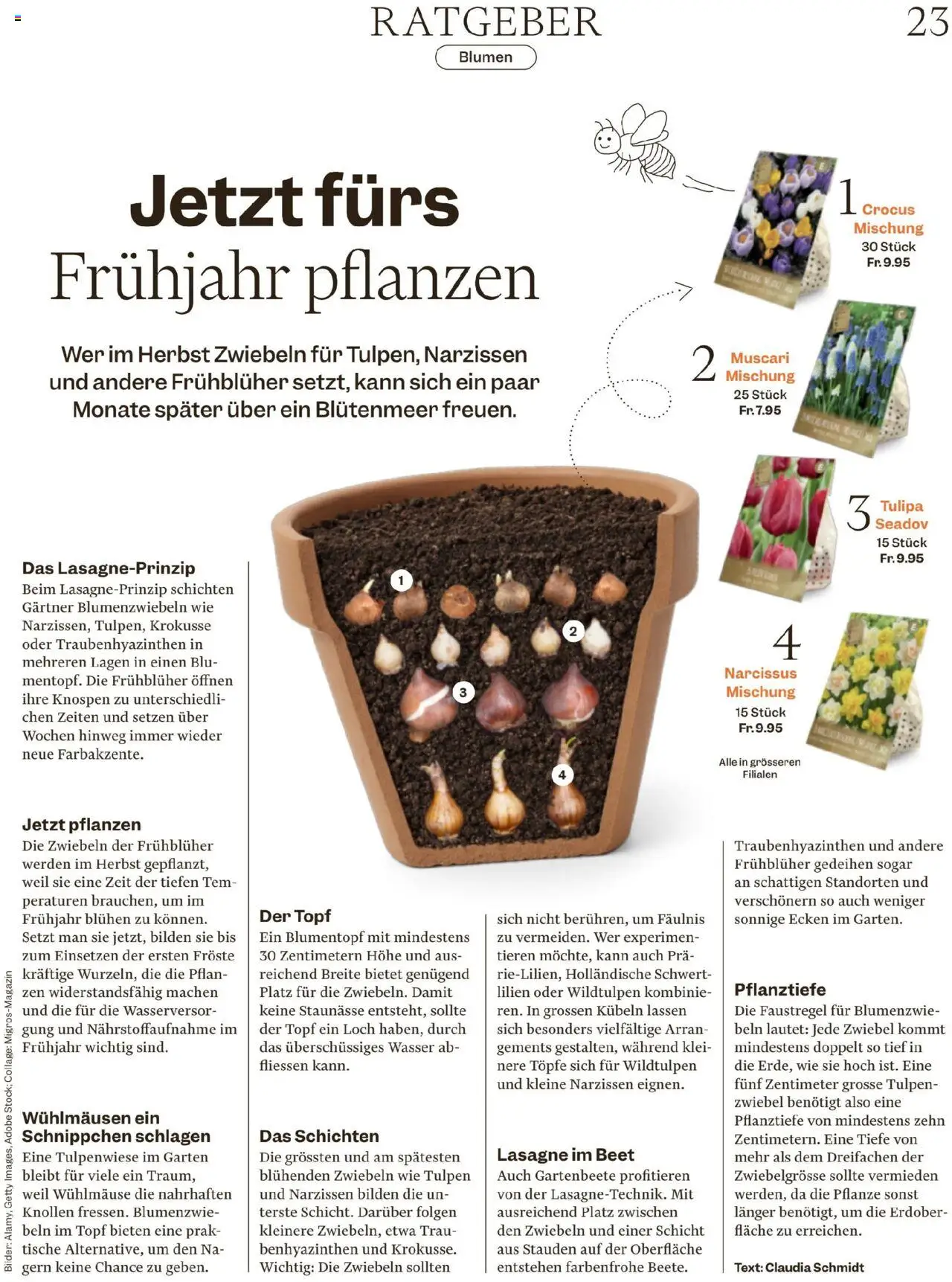 Migros Magazin – gültig ab 13.10.2025 | Seite: 23 | Produkte: Bilden, Wasser, Zwiebeln, Bilder