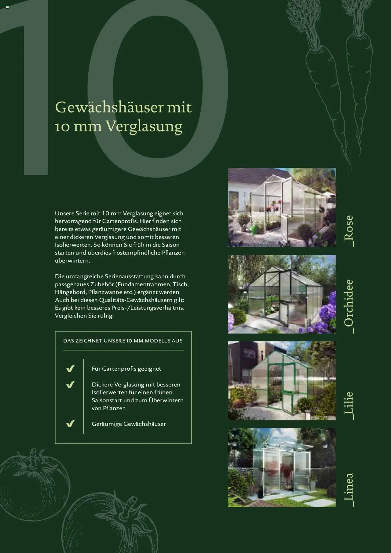 Dehner KGT – Kreative Gartentechnik gültig ab 04.02.2025 | Seite: 19