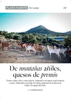 El Corte Inglés ofertas │ válido desde el 27.06.2025 | Página: 44 | Productos: Leche, Queso, Espejo