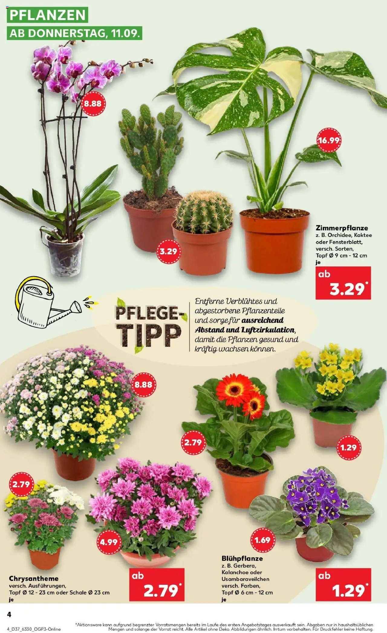 Kaufland prospekt Bremerhaven	 – gültig ab 11.09.2025 | Seite: 4