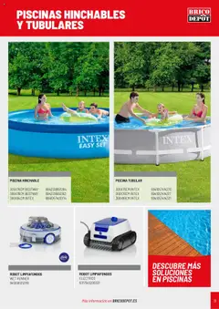 ROBOT LIMPIAFONDOS WET RUNNER, Robot for cleaning pool floors. 8412081312781 │ válido desde el 25.04.2025 | Página: 31 | Productos: Robot