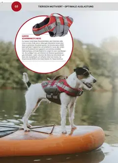 zookauf  Themenkatalog Hund ab 20.05.2025 gültig | Seite: 68 | Produkte: Weste