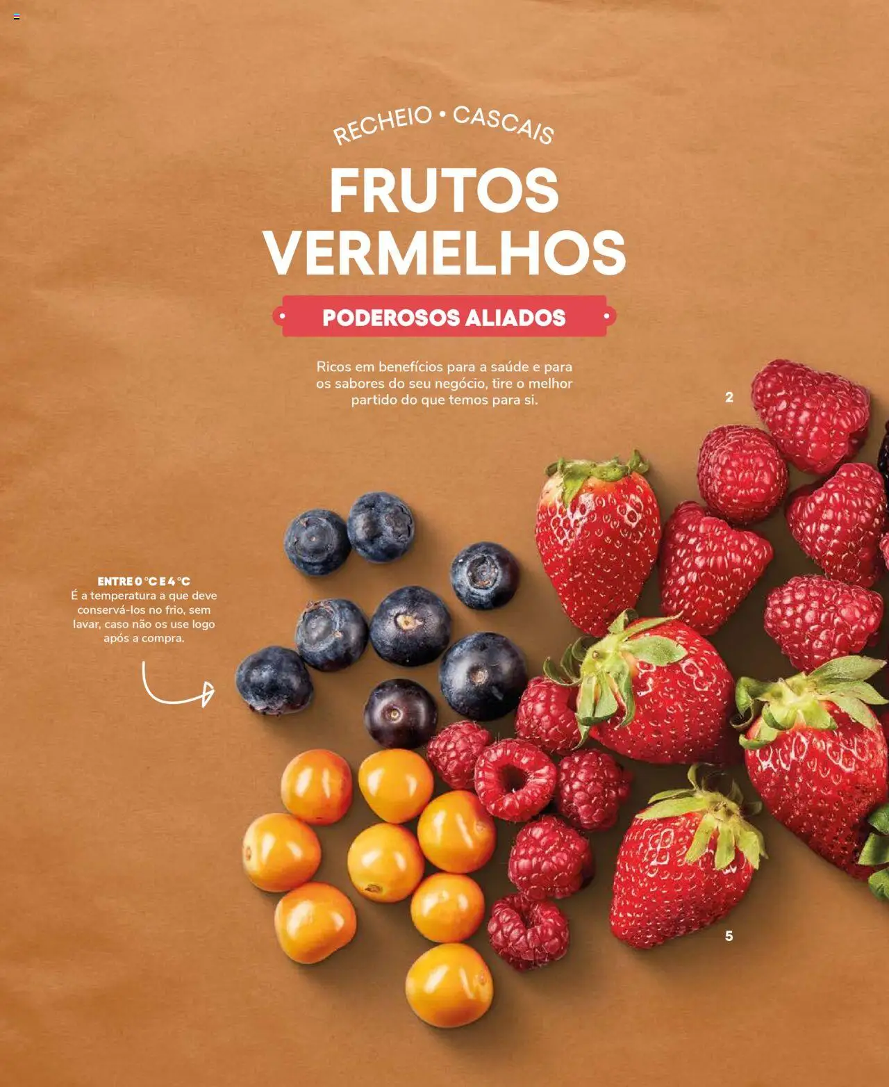 Recheio Frutas e Legumes │ válido de 19.09.2024 | Página: 76