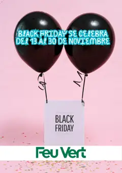 Vista previa FeuVert Black Friday aviso válido desde el 11.11.2025