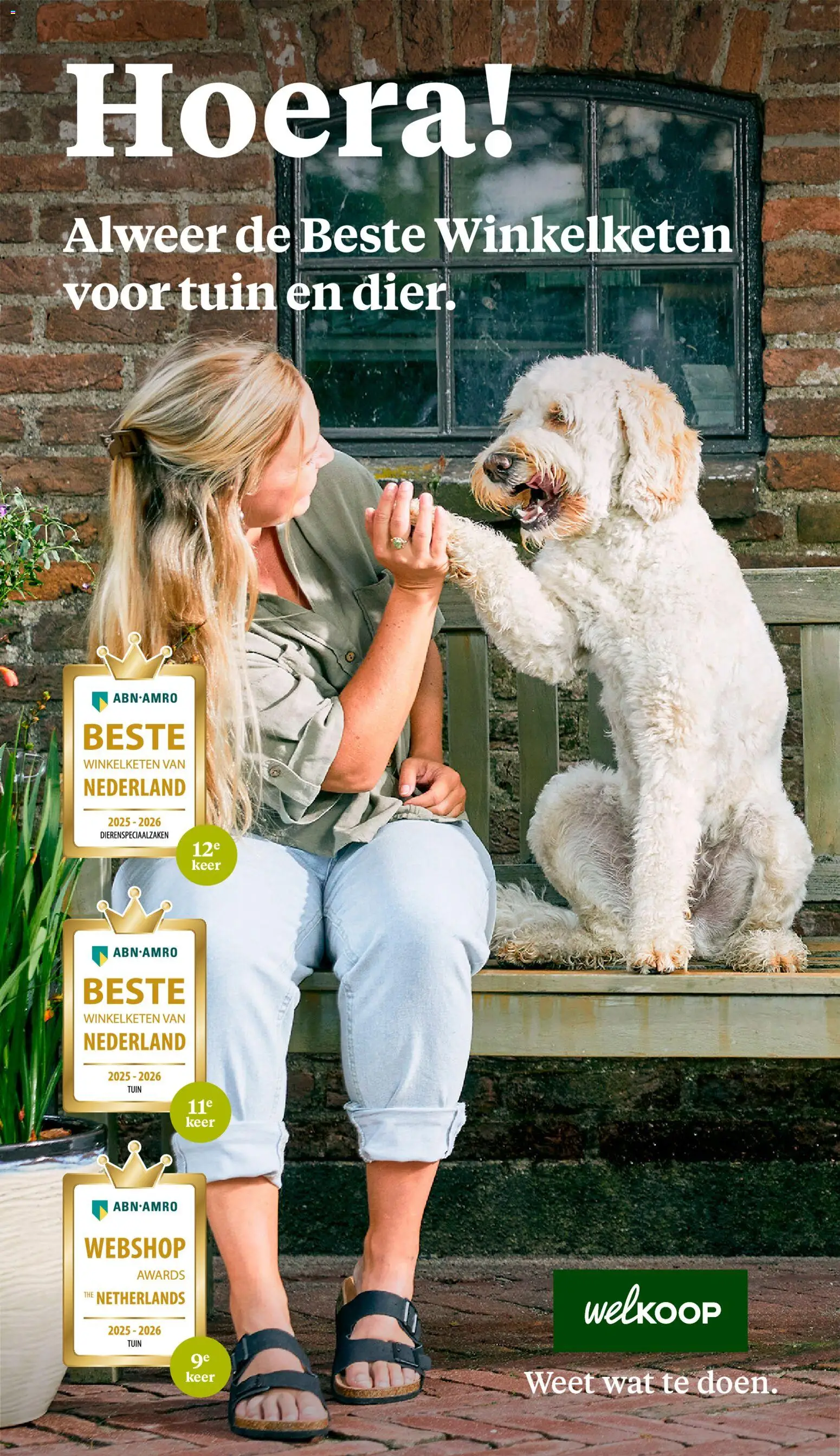 {H1} | Pagina: 38 | Producten: Spijkerbroek