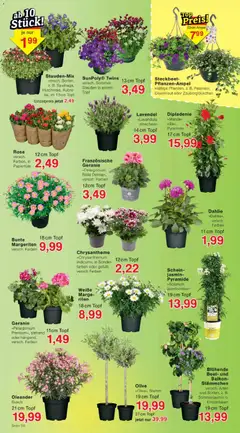 Jawoll Prospekt ab 13.04.2026 gültig | Seite: 6 | Produkte: Decke, Batterien, Schwerlastregal, Gürtel