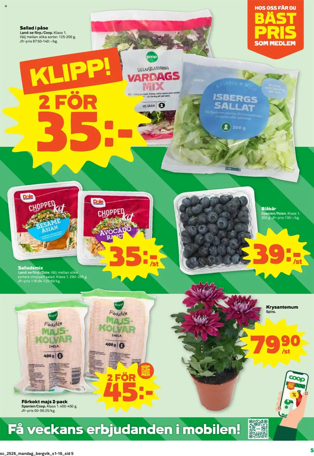 Stora Coop reklamblad aktuell från 23.06.2025 | Sida: 5 | Produkter: Avocado, Sallad, Blåbär, Majs