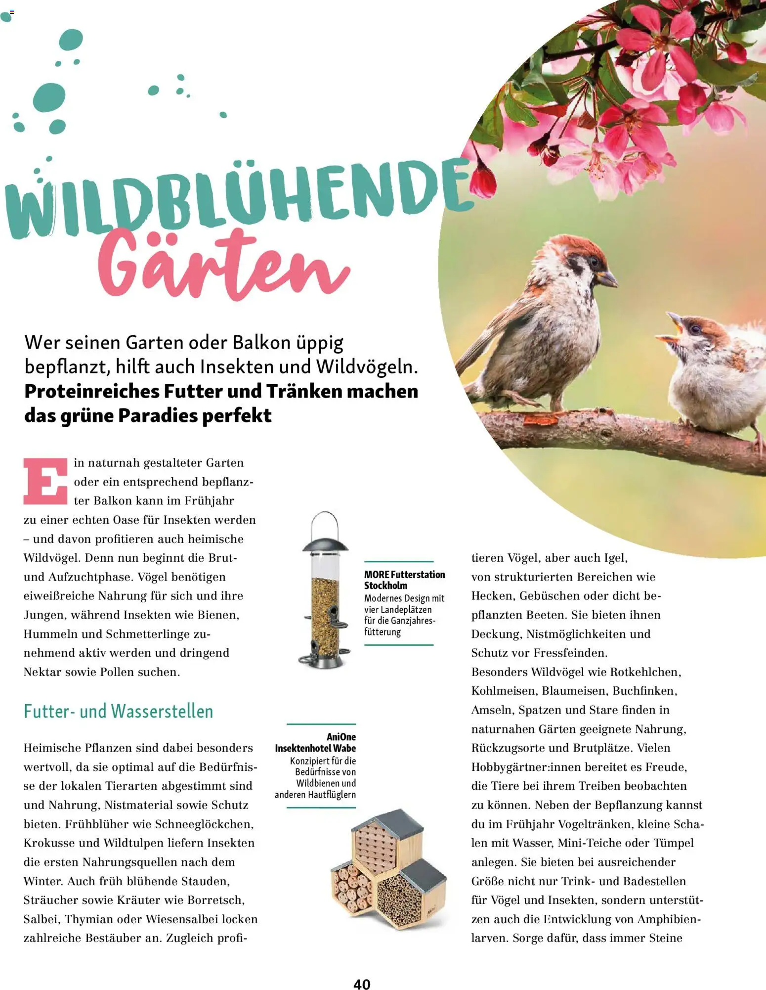 Fressnapf Friends Magazin – gültig ab 02.03.2026 | Seite: 40