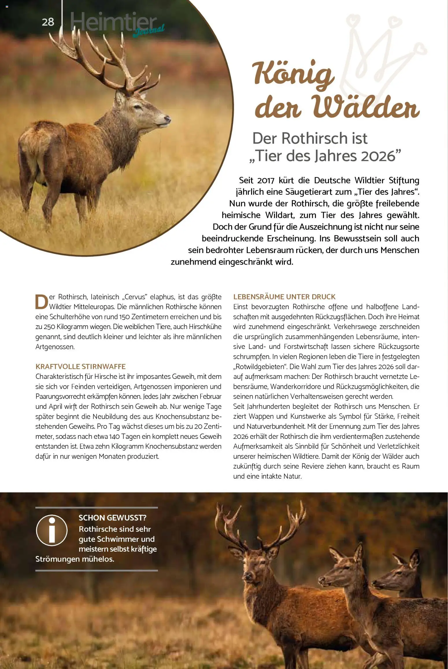 zookauf Prospekt 	 – gültig ab 01.02.2026 | Seite: 28