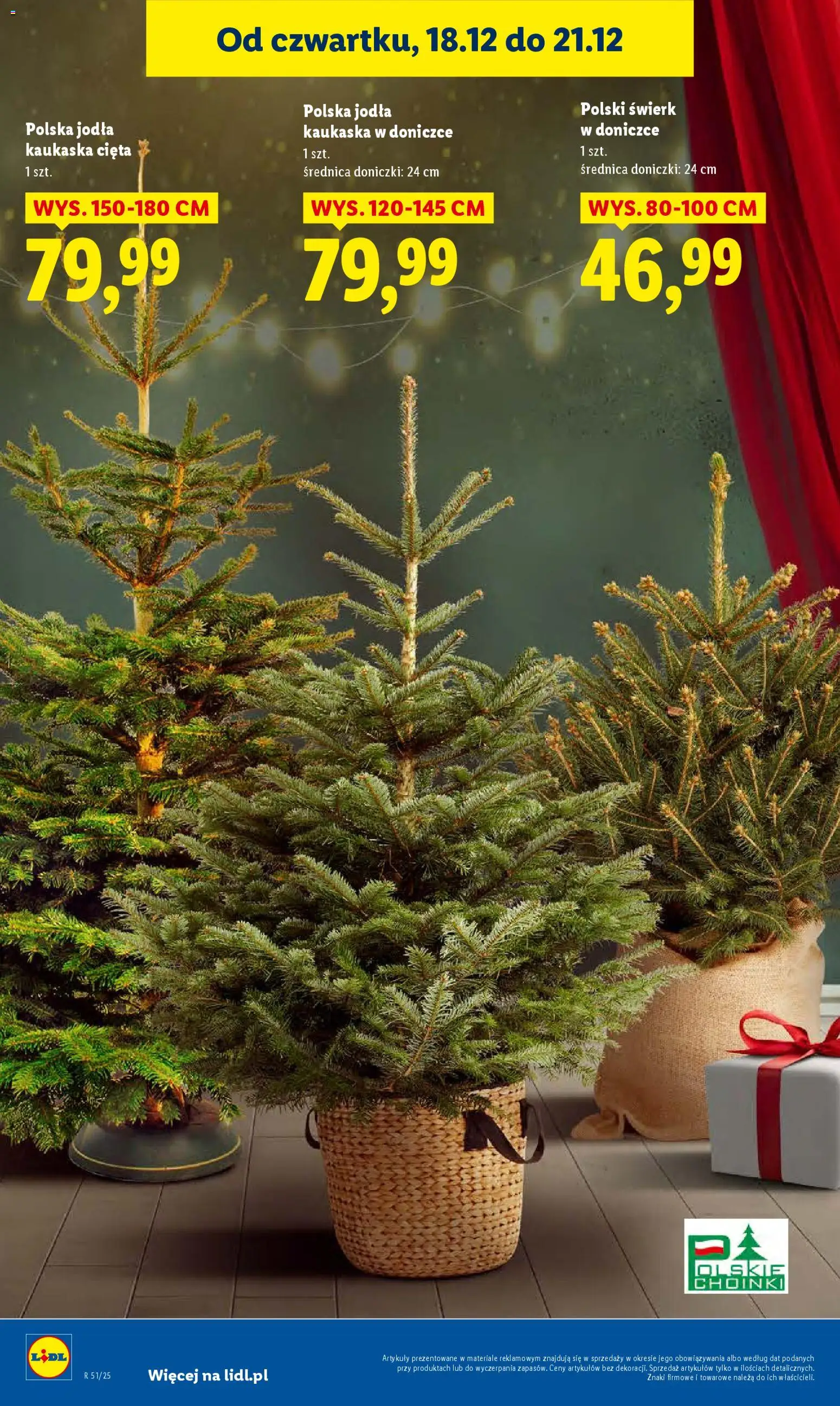 Lidl Gazetka od 18.12.2025 | Strona: 32 | Produkty: Jodła kaukaska, Doniczki