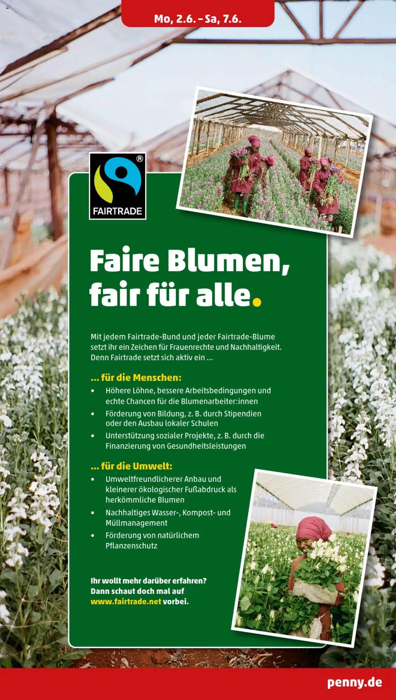 Penny Prospekt 	 - gültig ab dem 02.06.2025 | Seite: 7 | Produkte: Blumen