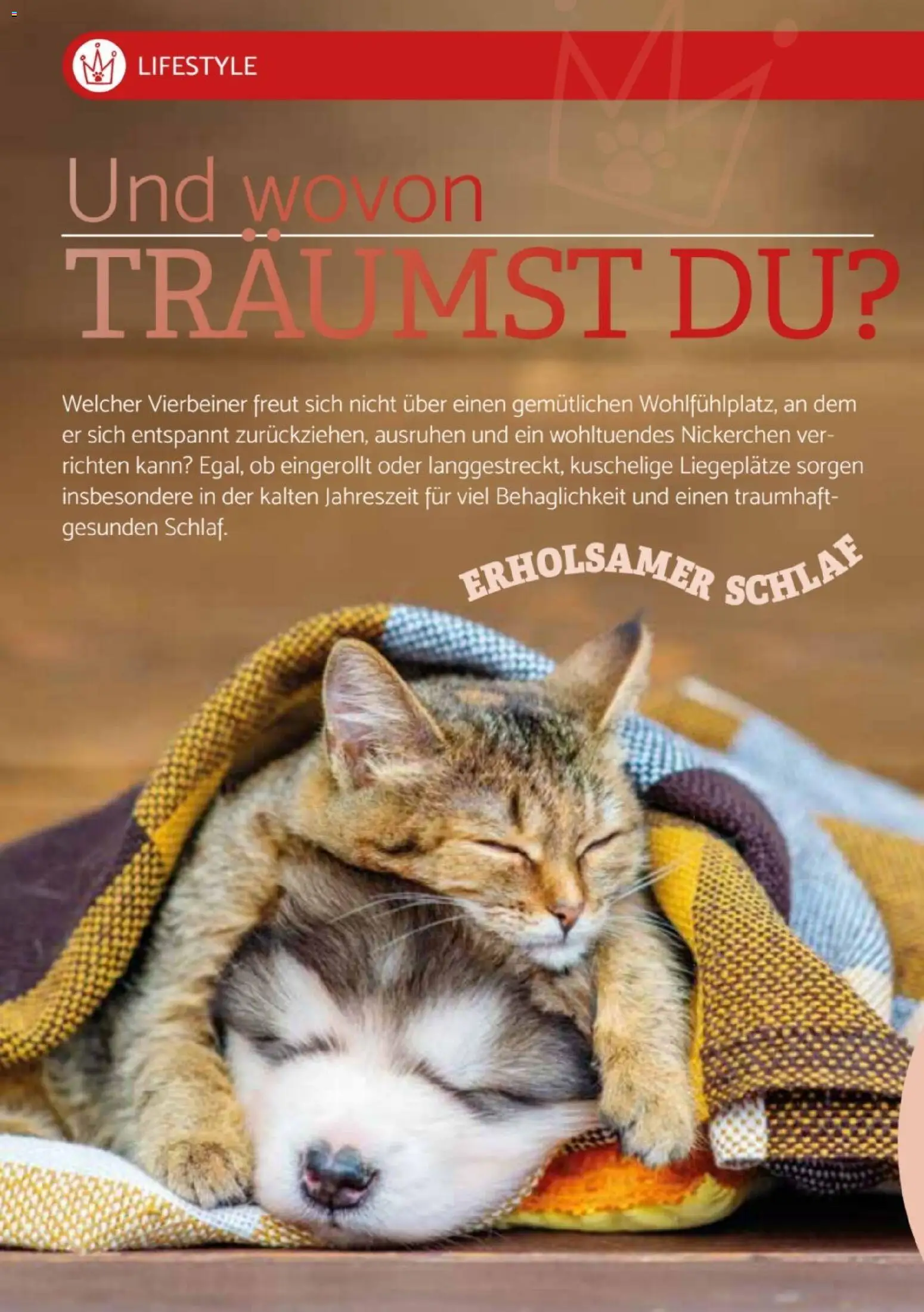 zookauf  Heimtier Journal Special – gültig ab 01.12.2025 | Seite: 4