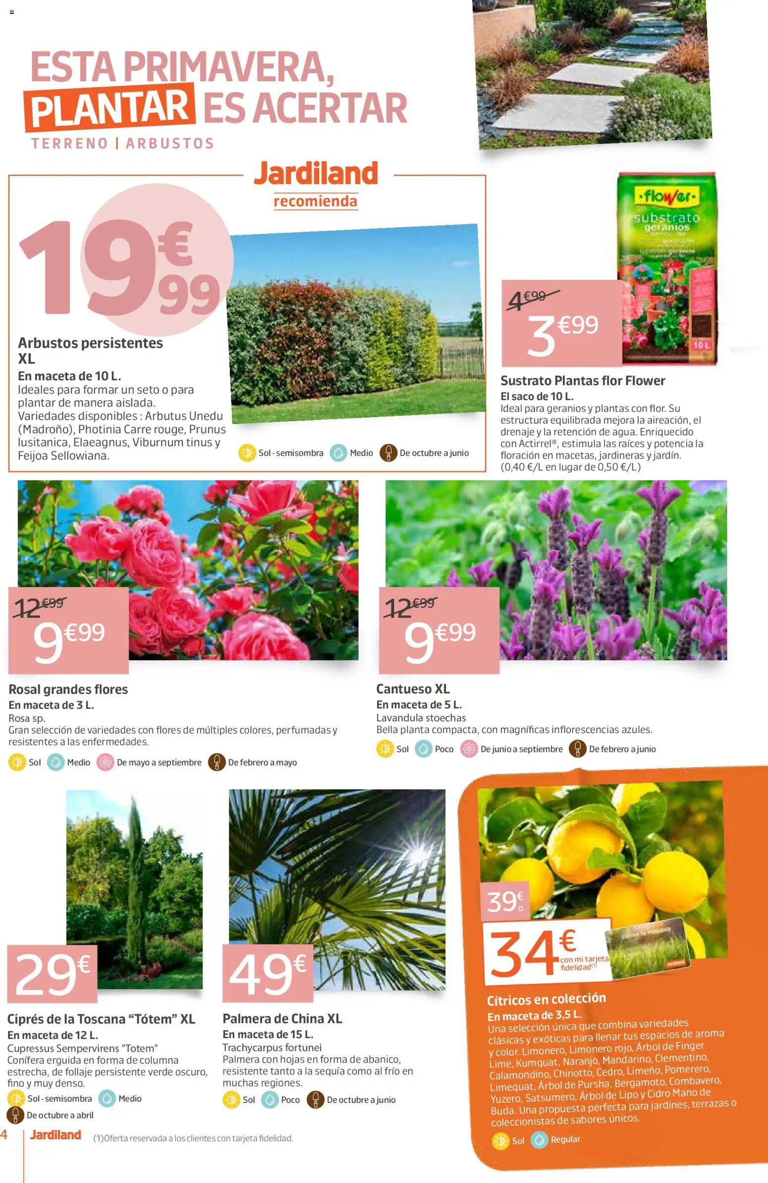 Jardiland folleto │ válido desde el 02.04.2026 | Página: 4 | Productos: Poêle à pétrole, Maceta