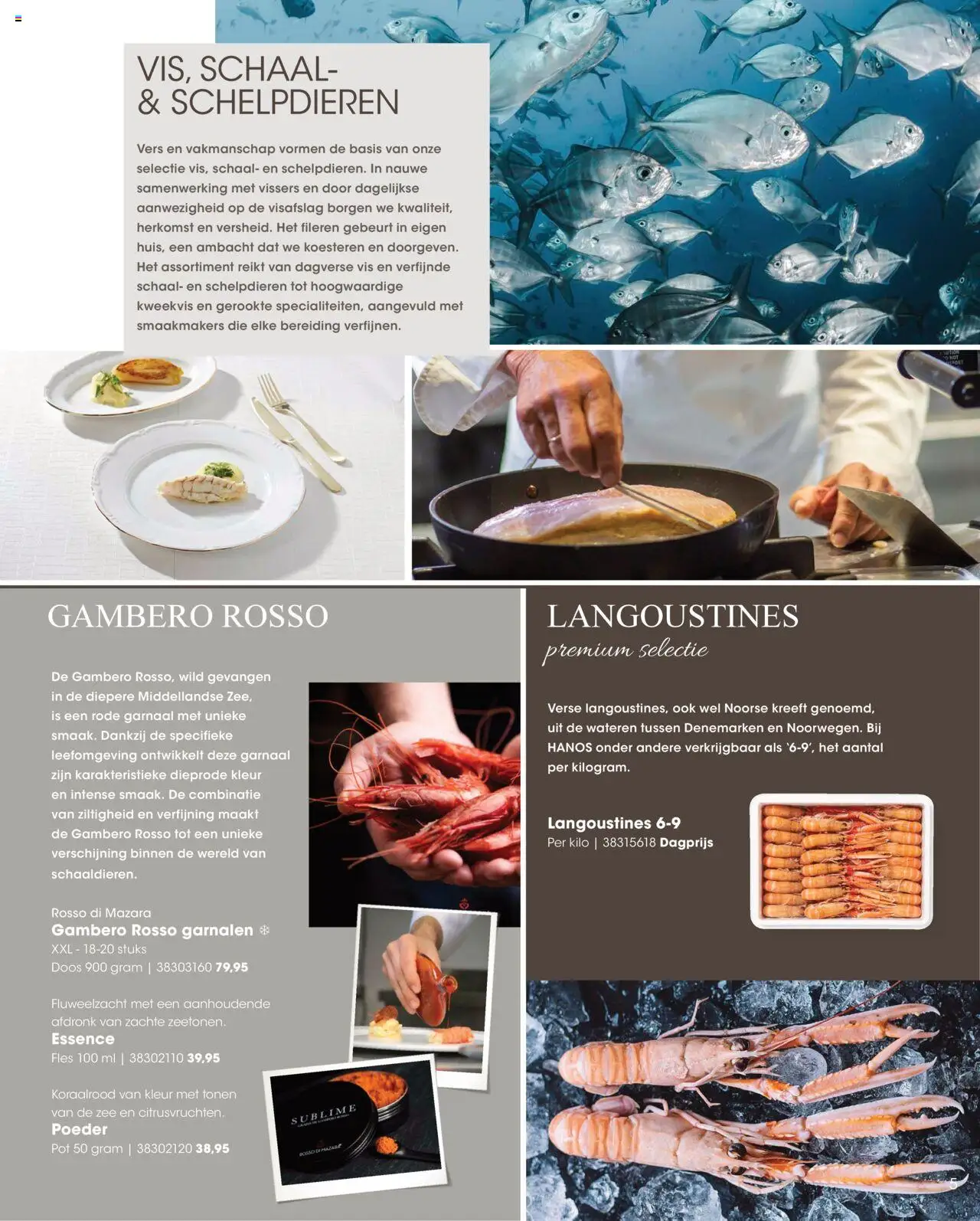 {H1} | Pagina: 5 | Producten: Pot, Schaal, Fles, Poeder