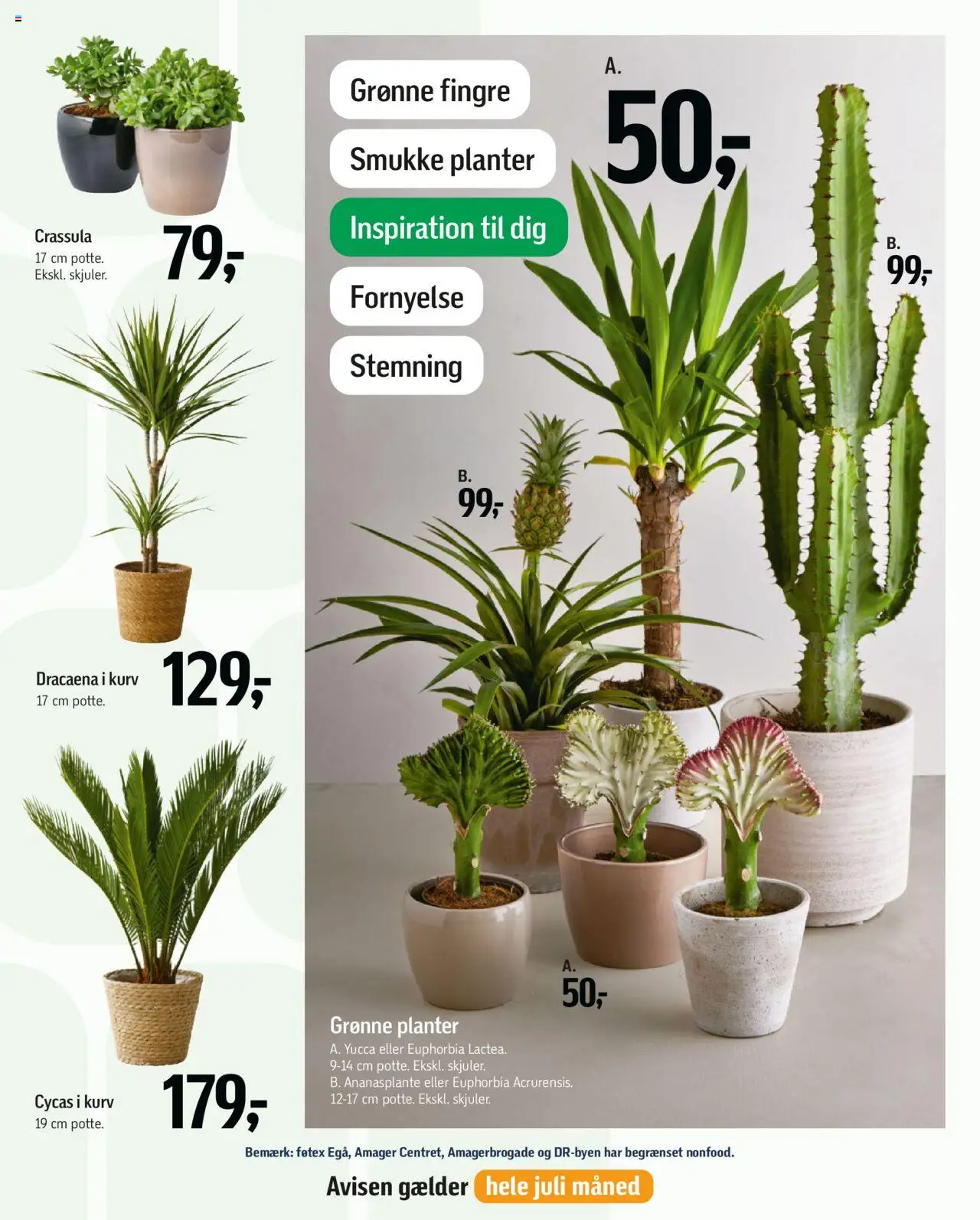 Føtex Tilbudsavis gyldig fra 27.06.2025 | Side: 53 | Produkter: Kurv