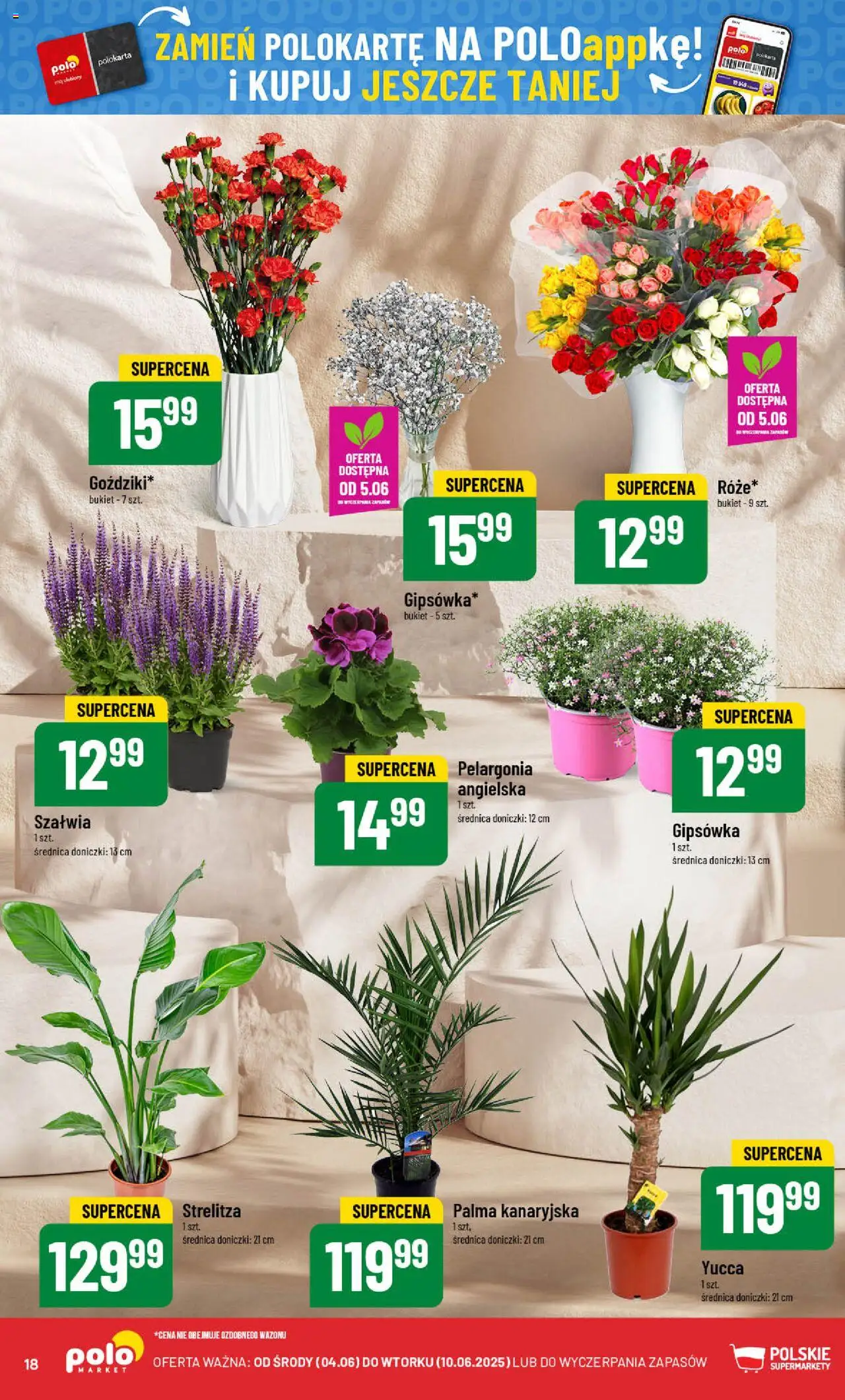 POLOmarket Gazetka od 04.06.2025 | Strona: 18 | Produkty: Doniczki