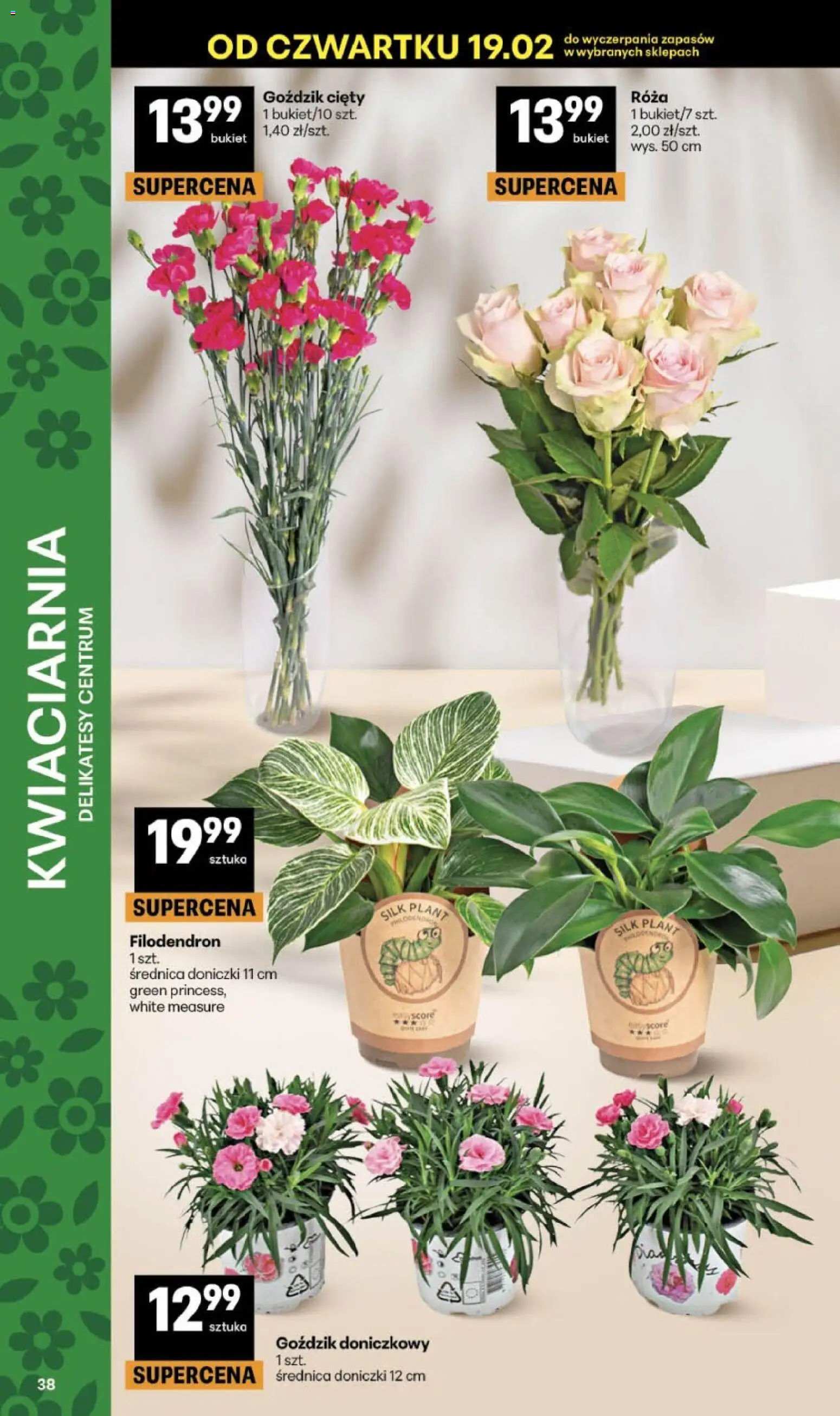 Delikatesy Centrum Gazetka - Sklepy Własne od 19.02.2026 | Strona: 38 | Produkty: Goździk, Delikatesy, Doniczki