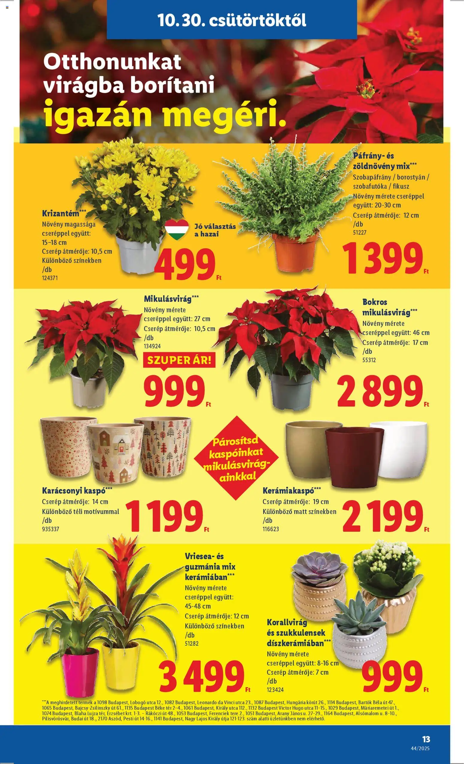 Lidl akciós ujság - amely érvényes a következő dátumtól: 30.10.2025 | Oldal: 13 | Termékek: Kaspó