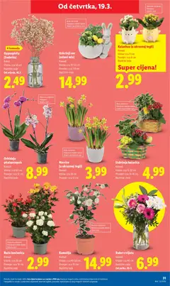Katalog Lidl - Pregled kataloga iz trgovine Lidl, vrijedi od 16.03.2026 | Stranica: 31