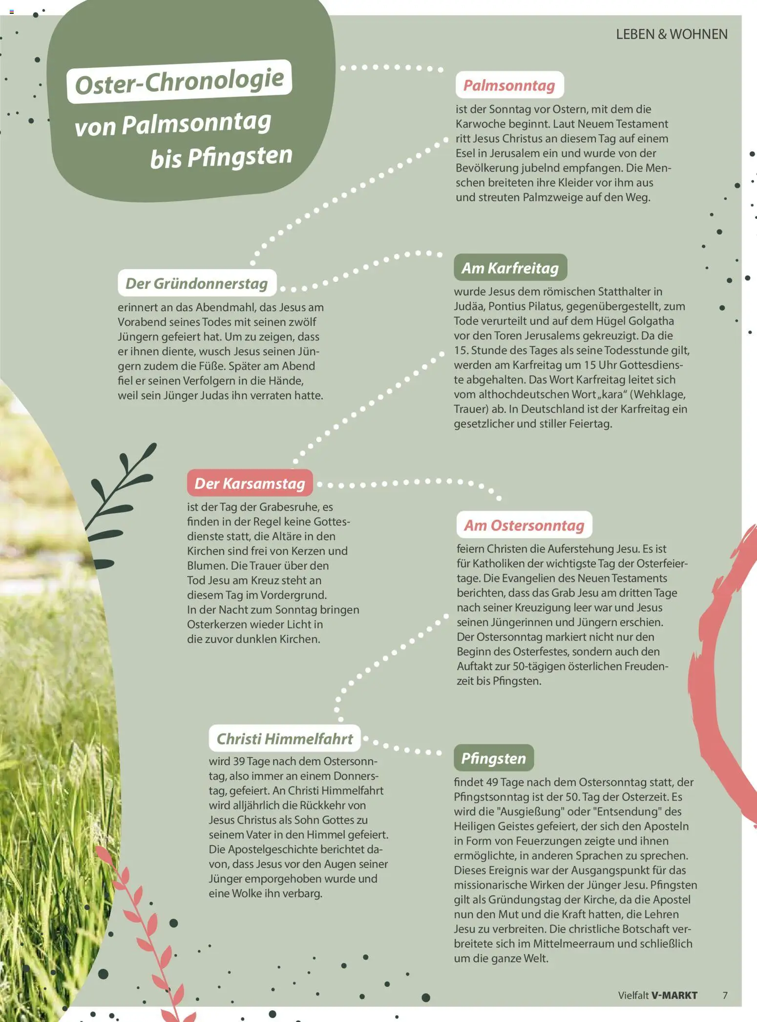 V-Markt Vielfalt März / April – gültig ab 01.03.2026 | Seite: 7 | Produkte: Uhr