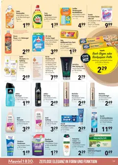 CITTI Markt Prospekt 	 ab 29.10.2025 gültig | Seite: 25 | Produkte: Haarspray, Creme, Handcreme, Ente