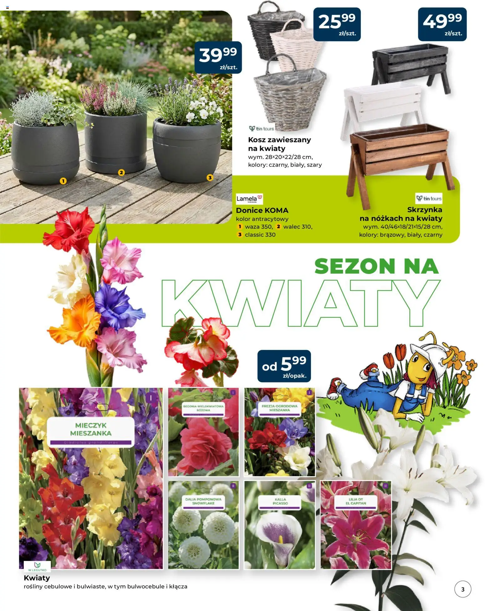 Mrówka gazetka - Malbork od 09.04.2026 | Strona: 3 | Produkty: Kosz, Rosliny, Kwiaty