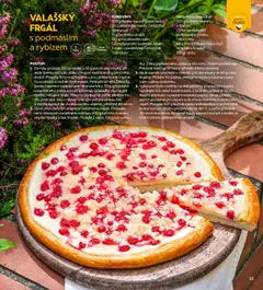 Albert magazín od 01.07.2025 | Strana: 23 | Produkty: Lžíce, Podmáslí, Citron, Droždí