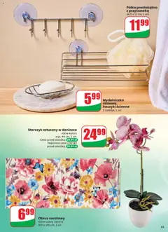 Półka prostokątna z przyssawką, 24,5 x 11 cm, 1 szt. od 20.08.2025 | Strona: 63 | Produkty: Półka, Storczyk