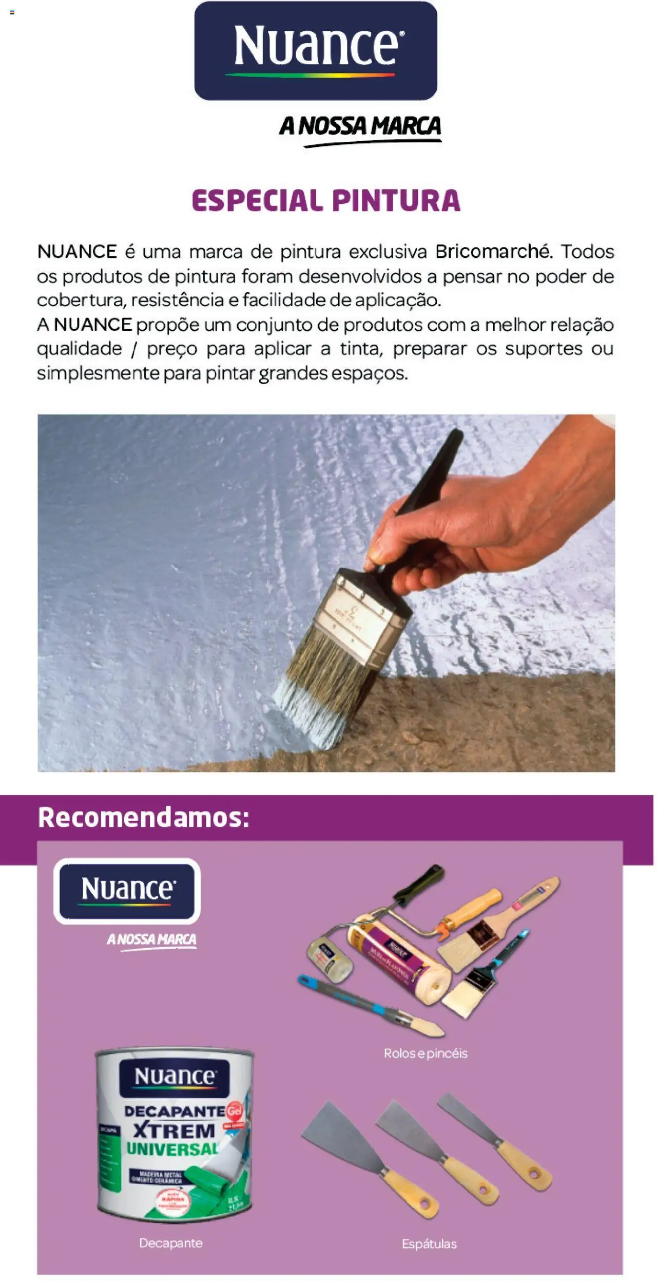 BricoMarché Nuance - Multi - superficies  │ válido de 27.12.2023 | Página: 2