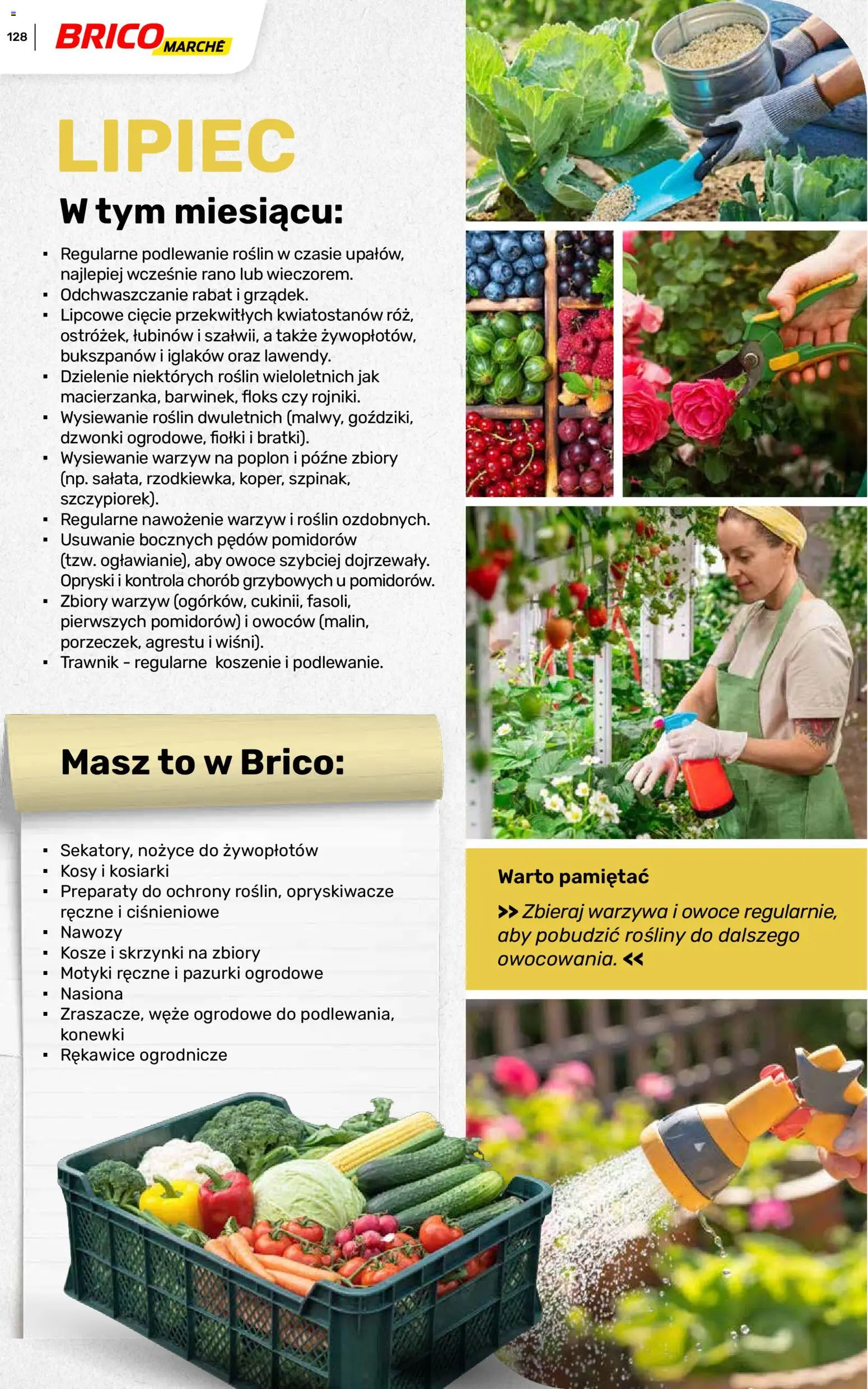 Brico Marché gazetka - Wiosna od 04.03.2026 | Strona: 128 | Produkty: Nasiona, Rosliny, Warzywa, Owoce
