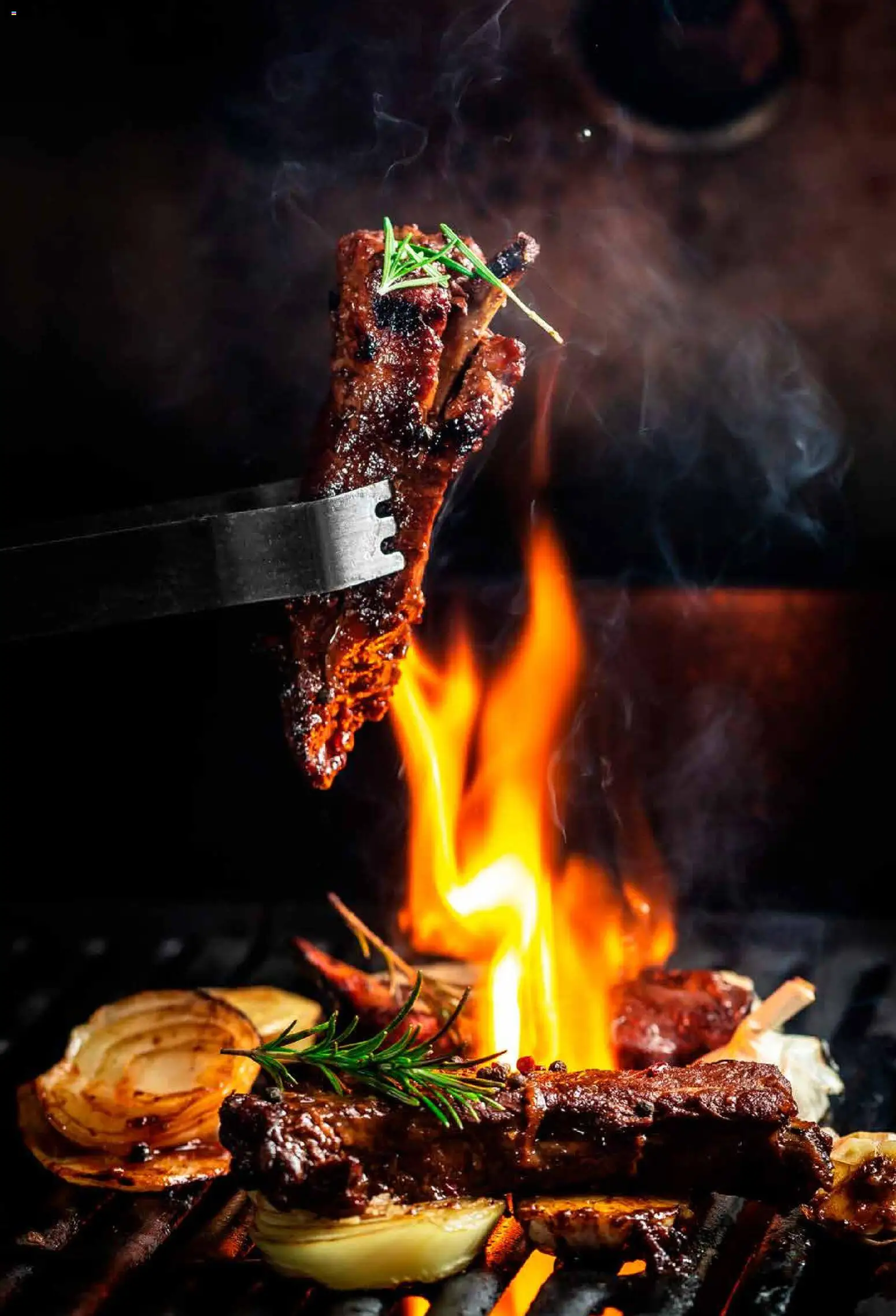 Metro katalog | vrijedi od 05.03.2026 | Stranica: 99