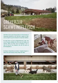 Prodega Aktionen Origine Sortimentsbroschüre ab 01.05.2024 gültig | Seite: 13 | Produkte: Schweinefleisch