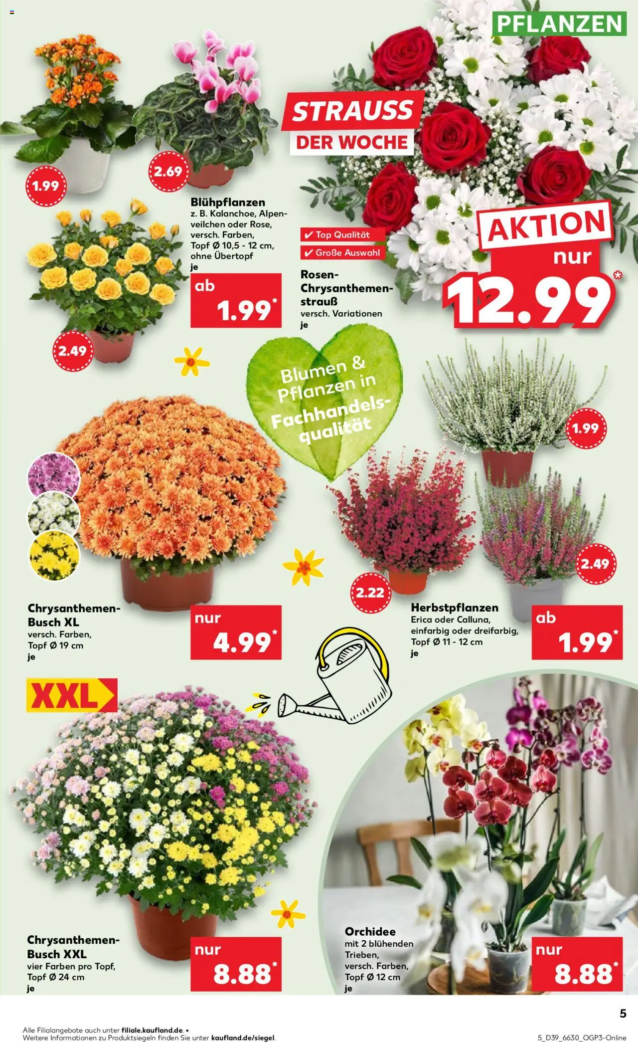 Kaufland prospekt Hannover	 – gültig ab 25.09.2025 | Seite: 5 | Produkte: Top, Orchidee, Blumen