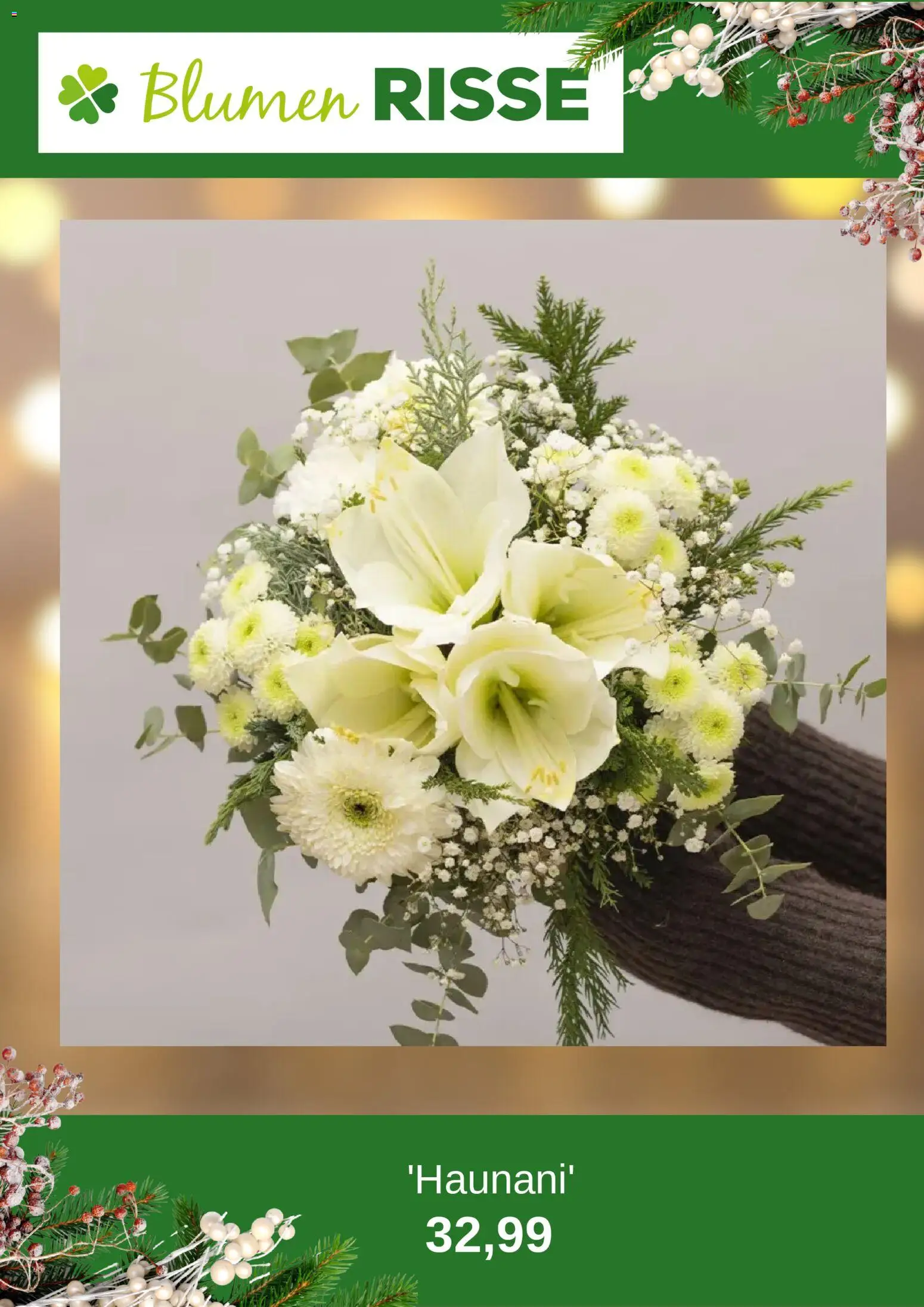 Blumen Risse Prospekt 	 – gültig ab 24.11.2025 | Seite: 11 | Produkte: Blumen