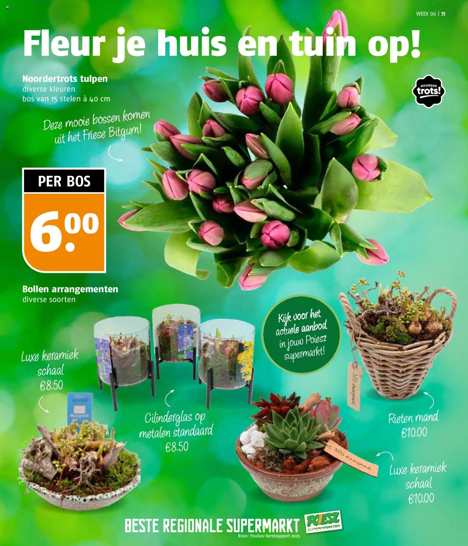 {H1} | Pagina: 31 | Producten: Schaal, Mand, Keramiek