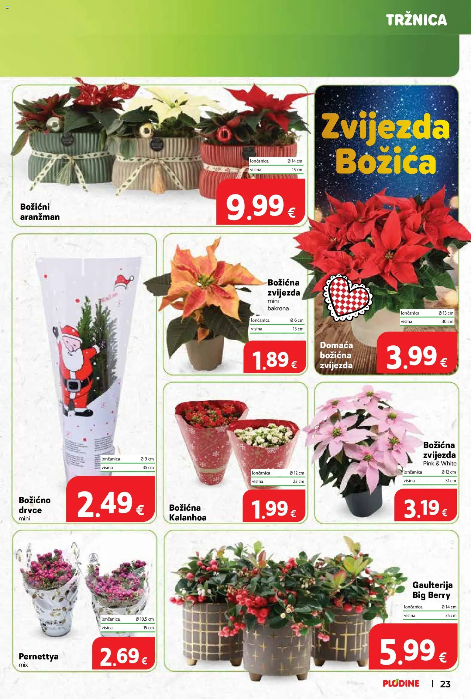 Plodine katalog | vrijedi od 26.11.2025 | Stranica: 23