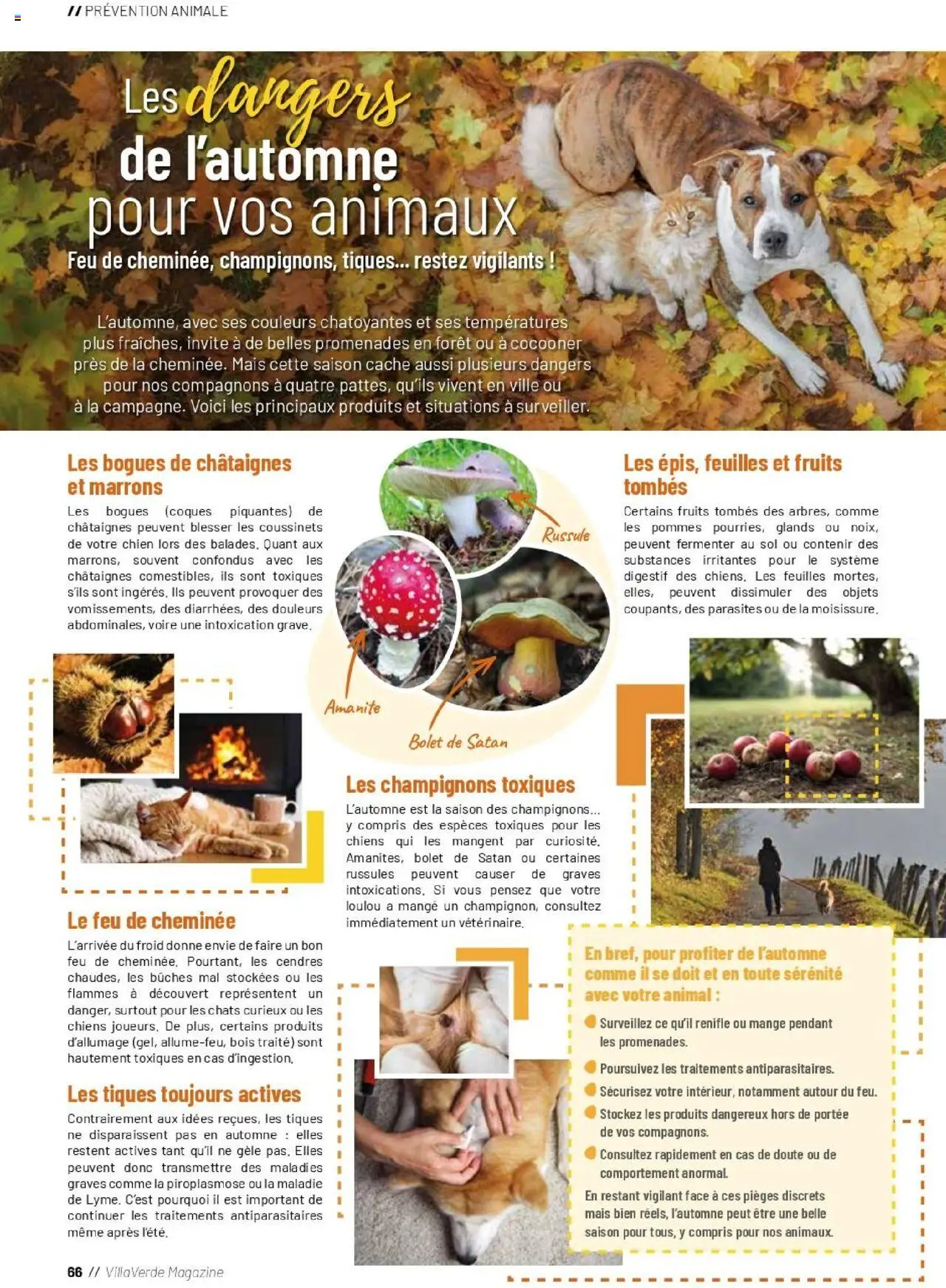 {H1} | Page: 66 | Produits: Mais, Digestif, Pommes, Magazine