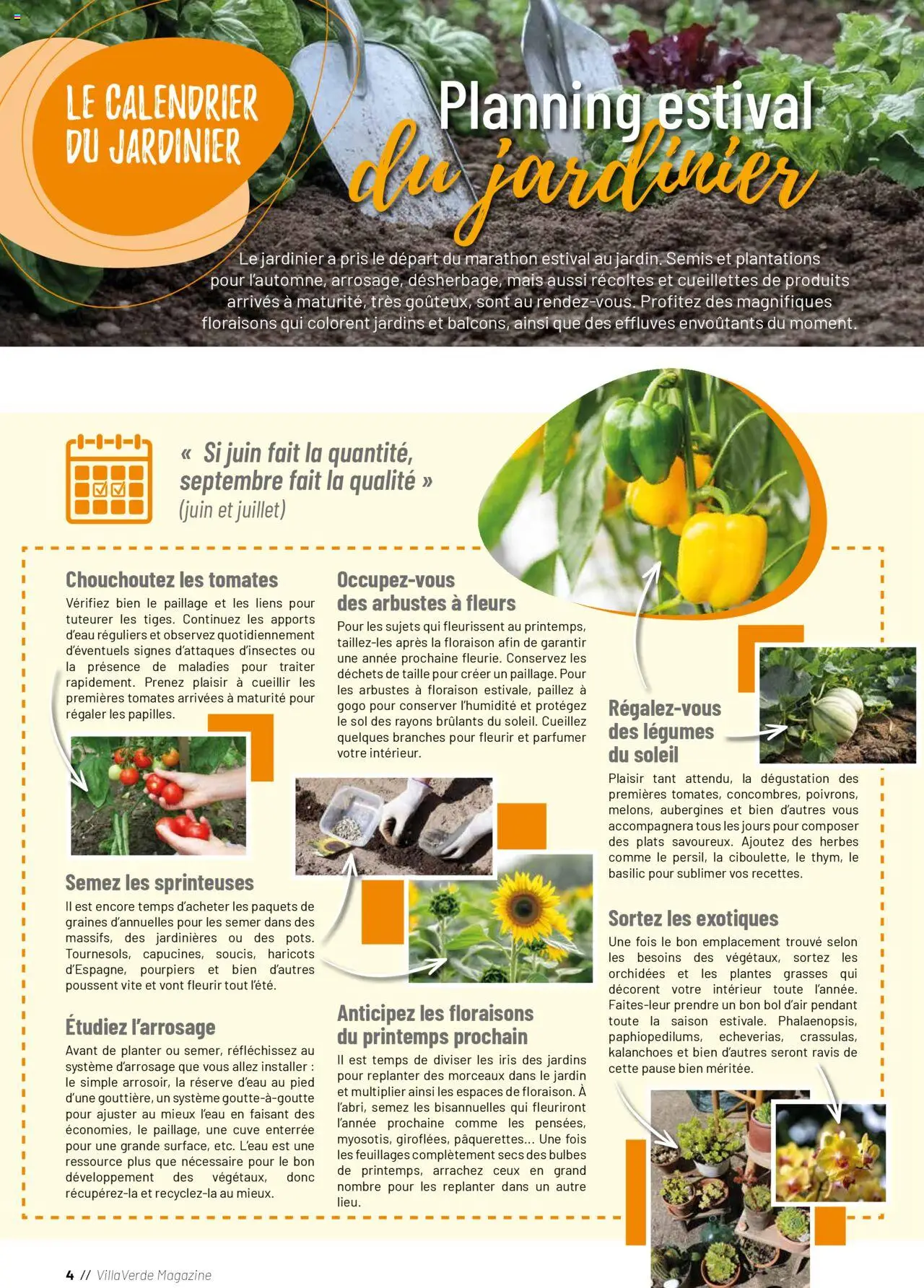  | Page: 4 | Produits: Calendrier, Mais, Système d’arrosage, Magazine