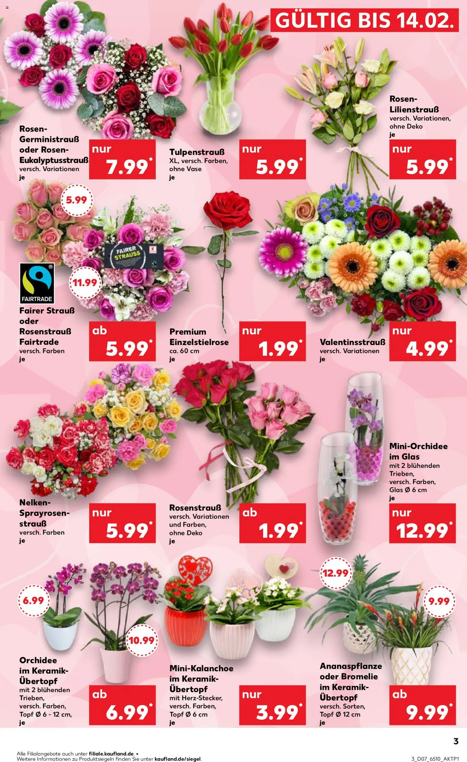 Kaufland prospekt Bremen	 – gültig ab 12.02.2026 | Seite: 3 | Produkte: Orchidee, Vase